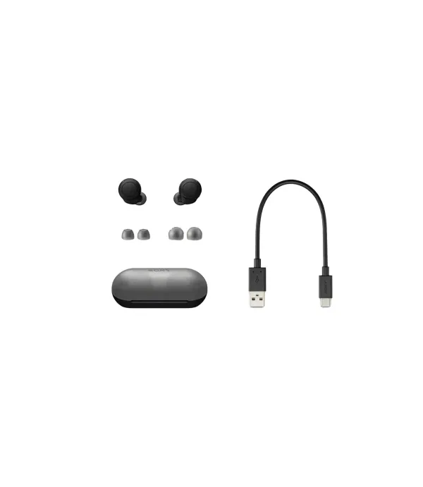 هدفون بلوتوثی سونی مدل WF-C500 دو گوشی، با رابط بلوتوث، مناسب برای کاربری عمومی